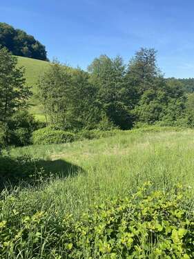 Foto - Grundstück zu verkaufen in Gorxheimertal 199.500,00 € 632 m²