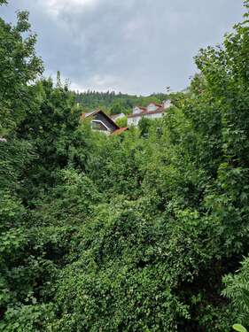 Foto - Wohnung zum Kaufen in Birkenau 225.500,00 € 84 m²