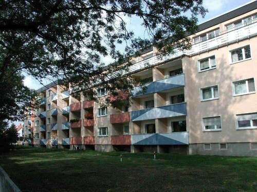 Foto - Wohnung zum Mieten in Hamm 310,00 € 40 m²