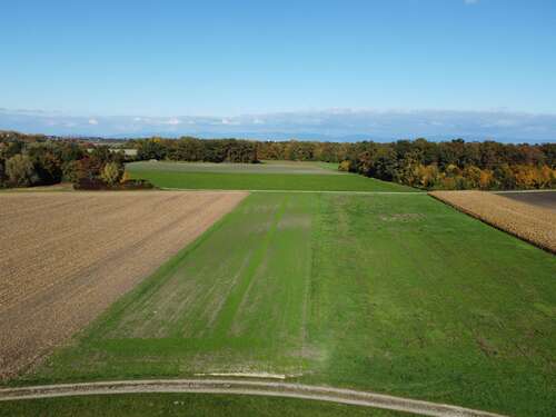 Foto - Spezialgewerbe in Wallersdorf 89.824,00 €