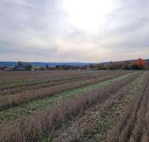 Grundstück in Tirschenreuth 744.000,00 € 300000 m²