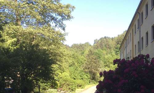 Foto - Wohnung zum Mieten in Prossen 340,00 € 51 m²