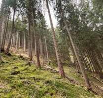 Grundstück in Nesselwang 28.000,00 € 5616 m²