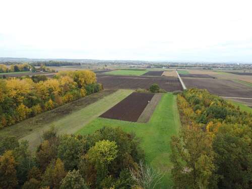 Foto - Spezialgewerbe in Wallersdorf 33.480,00 €