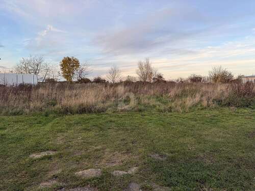 Foto - Grundstück zu verkaufen in Langenberg 330.000,00 € 1000 m²