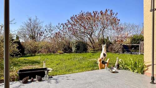 Foto - Wohnung zum Kaufen in Bad Bellingen 139.000,00 € 37 m²