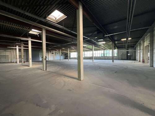 Foto - Halle in Löhne 5.800,00 € 1600 m²