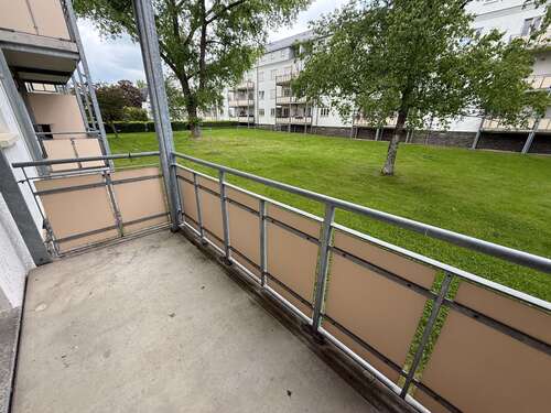 Foto - Wohnung zum Mieten in Chemnitz 250,00 € 37.25 m²