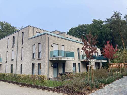 Foto - Wohnung zum Mieten in Lingen 550,00 € 55 m²