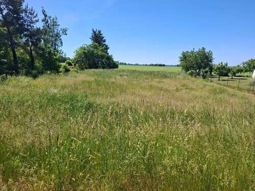 Foto - Grundstück zu verkaufen in Neuwustrow 24.000,00 € 10941 m²