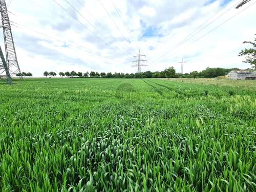 Foto - Grundstück in Bad Homburg vor der Höhe Ober-Erlenbach 349.000,00 € 10754 m²