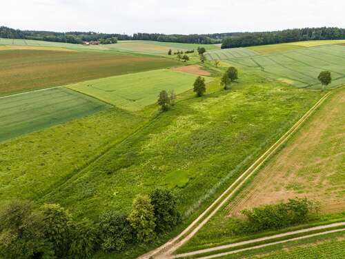 Foto - Grundstück in Schierling 130.000,00 € 21127 m²