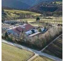 Halle in Lenningen 1.350.000,00 € 3000 m²