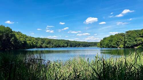 Foto - Haus zum Kaufen in Berlin 2.500.000,00 € 283 m²