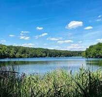 Haus zum Kaufen in Berlin 2.500.000,00 € 283 m²