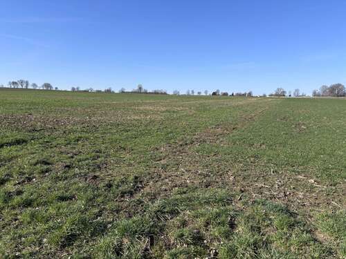 Foto - Grundstück in Stadthagen 77.000,00 € 11294 m²