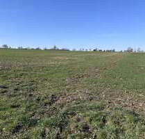 Grundstück in Stadthagen 77.000,00 € 11294 m²