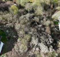 Grundstück zu verkaufen in Balve 85.000,00 € 1618 m²