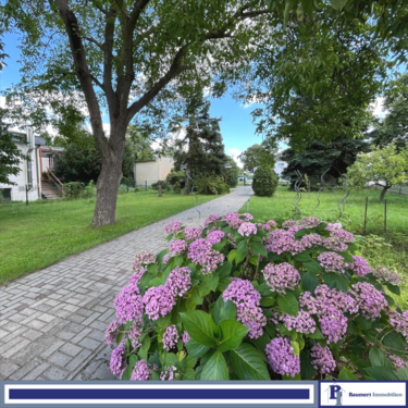 Foto - Grundstück zu verkaufen in Berlin 199.000,00 € 600 m²