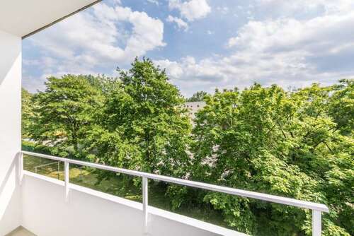 Foto - Wohnung zum Mieten in Chemnitz 262,60 € 46.07 m²