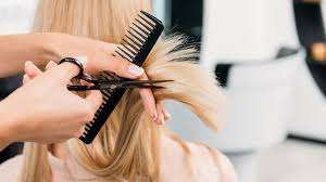 Foto - Einzelhandel in Braunschweig 1.450,00 € 60 m²