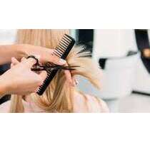 Einzelhandel in Braunschweig 1.450,00 € 60 m²