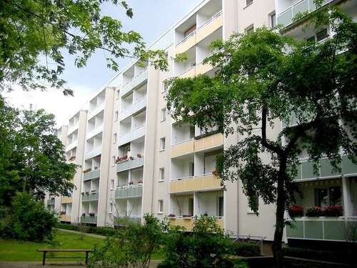 Foto - Wohnung zum Mieten in Magdeburg 330,00 € 56.66 m²