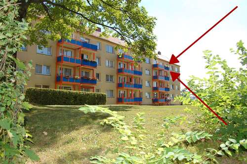 Foto - Wohnung zum Mieten in Löbau 340,00 € 60 m²