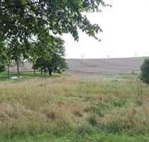 Grundstück zu verkaufen in Lebehn 39.000,00 € 1790 m²