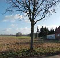 Grundstück zu verkaufen in Dallmin 28.000,00 € 2458 m²