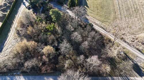 Foto - Grundstück zu verkaufen in Gräfenhainichen 50.000,00 € 1821 m²