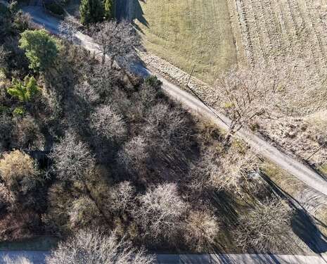 Foto - Grundstück zu verkaufen in Gräfenhainichen 50.000,00 € 1821 m²