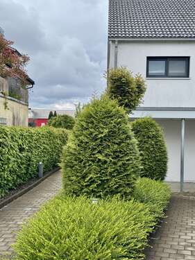 Foto - Wohnung zum Mieten in Lindau 880,00 € 67 m²