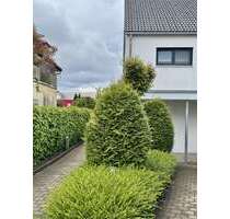 Wohnung zum Mieten in Lindau 880,00 € 67 m²