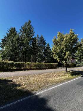 Foto - Grundstück zu verkaufen in Groß Kreutz (OT Jeserig) 315.000,00 € 4042 m²