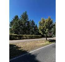 Grundstück zu verkaufen in Groß Kreutz (OT Jeserig) 315.000,00 € 4042 m²