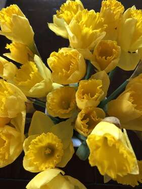 Foto - Wohnung zum Kaufen in Rottenburg-Hailfingen 555.000,00 € 160 m²