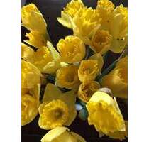 Wohnung zum Kaufen in Rottenburg-Hailfingen 555.000,00 € 160 m²