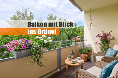 Foto - Wohnung zum Mieten in Chemnitz 340,00 € 42.1 m²
