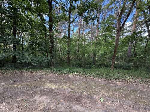 Foto - Grundstück zu verkaufen in Bad Saarow 85.000,00 € 2869 m²