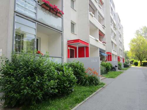 Foto - Wohnung zum Mieten in Chemnitz 300,00 € 56.29 m²
