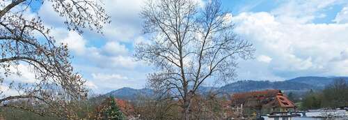 Foto - Wohnung zum Kaufen in Freiburg im Breisgau 583.000,00 € 92 m²