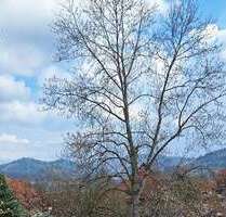 Wohnung zum Kaufen in Freiburg im Breisgau 583.000,00 € 92 m²