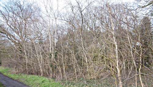 Foto - Grundstück in Bad Zwischenahn 111.000,00 € 3004 m²