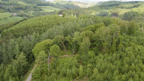Foto - Grundstück in Lüdenscheid 414.000,00 € 229370 m²