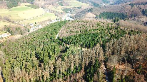 Foto - Grundstück in Lüdenscheid 414.000,00 € 229370 m²