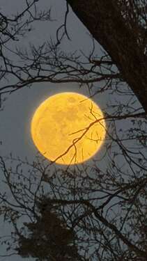 Foto - Wohnung zum Mieten in Schwarzenbruck 990,00 € 90 m²