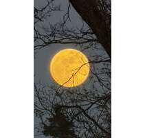 Wohnung zum Mieten in Schwarzenbruck 990,00 € 90 m²