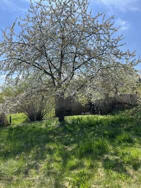 Foto - Grundstück zu verkaufen in Bad Griesbach 160.000,00 € 861 m²