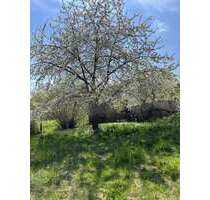 Grundstück zu verkaufen in Bad Griesbach 160.000,00 € 861 m²